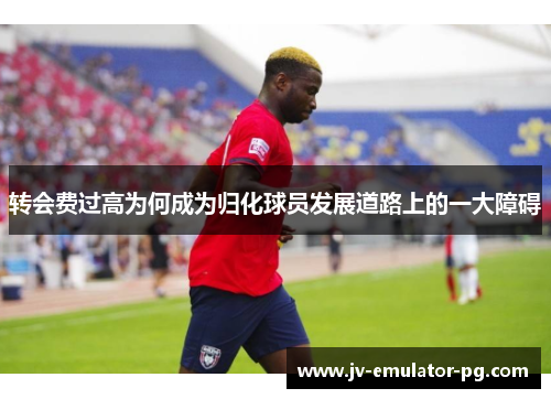 转会费过高为何成为归化球员发展道路上的一大障碍