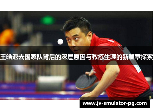王皓退去国家队背后的深层原因与教练生涯的新篇章探索