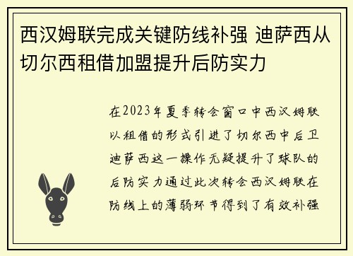 西汉姆联完成关键防线补强 迪萨西从切尔西租借加盟提升后防实力 西汉姆联完成关键防线补强 迪萨西从切尔西租借加盟提升后防实力