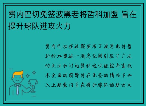 费内巴切免签波黑老将哲科加盟 旨在提升球队进攻火力 费内巴切免签波黑老将哲科加盟 旨在提升球队进攻火力
